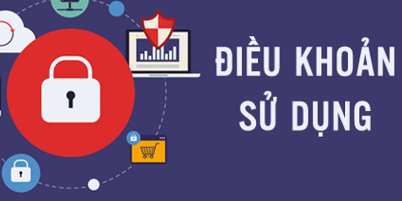 Tóm tắt sơ bộ về điều khoản và điều kiện