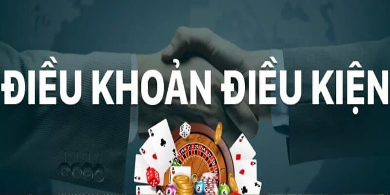 Cảnh báo quan trọng trong điều khoản và điều kiện